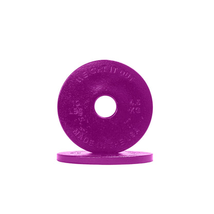 Standard 1" Cast Iron Machined Weight Plates – Pair
