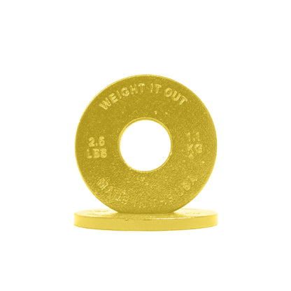 Standard 1" Cast Iron Machined Weight Plates – Pair